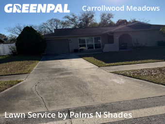 Grass Cut nearby Tampa, FL, 