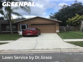 Yard Cutting nearby Lutz, FL, 