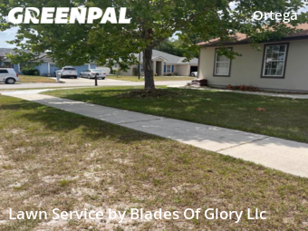 Lawn Mow nearby Jacksonville, TN, 