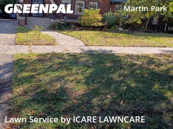 Grass Cut nearby Detroit, MI, 