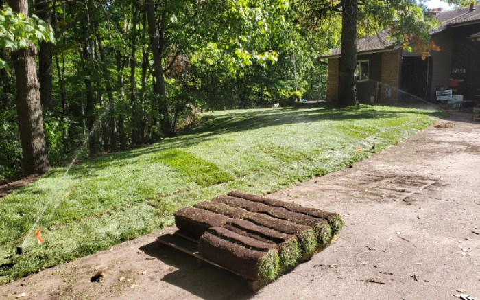 Work Image 4