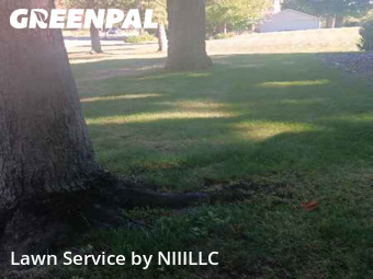 Lawn Cutting nearby Norton Shores, MI, 
