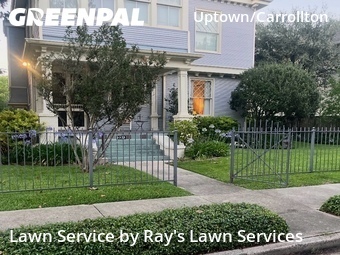 Grass Cut nearby New Orleans, LA, 