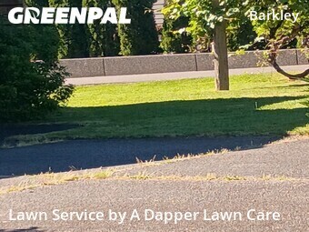 Lawn mowed in Bellingham, 98226