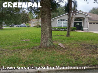 Lawn Mow nearby St. Augustine, FL, 
