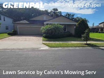 Lawn Cut nearby Wesley Chapel, FL, 