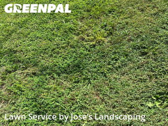 Lawn Mowing nearby Woodbridge, VA, 