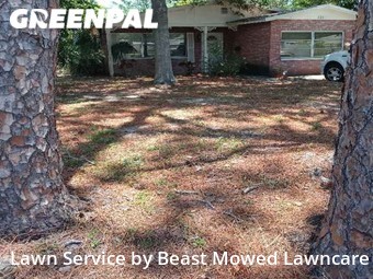 Lawn Cut nearby Saint Petersburg, FL, 