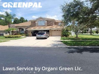 Yard Mowing nearby Tampa, FL, 