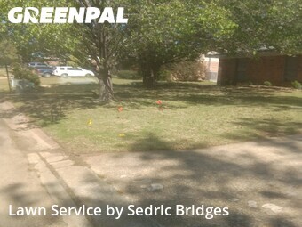 Lawn Mowing Service nearby Pearl, MS, 