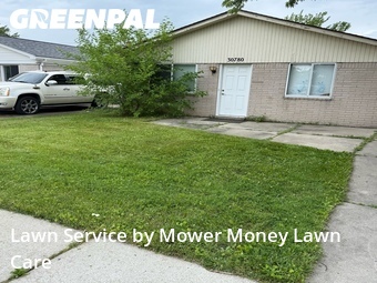 Yard Cutting nearby Madison Heights, MI, 