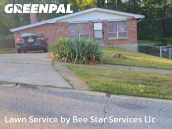 Lawn Cuttingin Ferguson,63135,Lawn Mowing Service by Bee Star Services Llc, work completed in Feb , 2026