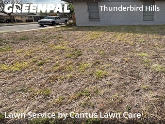 Lawn Care nearby San Antonio, TX, 