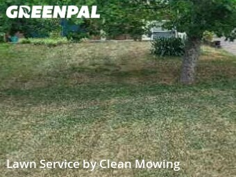 Lawn Mow nearby Lexington, KY, 