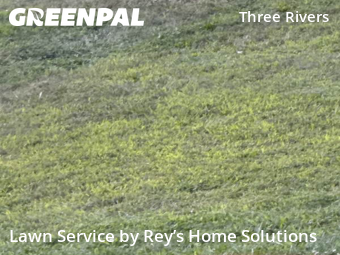 Lawn Mowing Service nearby Palmer, CT, 