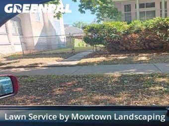 Grass Cut nearby Saint Paul, MN, 