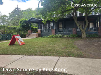 Grass Cut nearby Rochester, NY, 