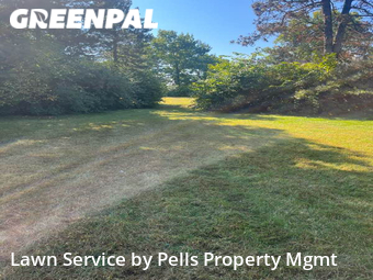 Yard Cutting nearby Ypsilanti, MI, 