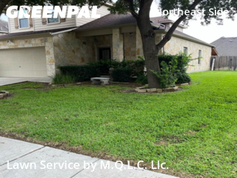 Yard Cuttingin Schertz,78154,Grass Cut by M.Q.L.C. Llc., work completed in Nov , 2025