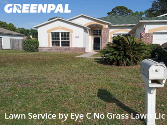 Yard Cutting nearby Jacksonville, FL, 