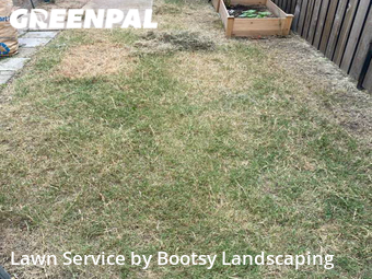 Lawn Cut nearby Grand Prairie, TX, 