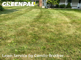 Lawn Mow nearby Norwalk, CT, 