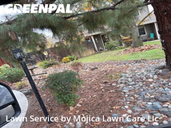 Work completed by grass-care-professionals-in-Citrus Heights-CA