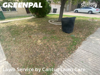 Yard Cutting nearby San Antonio, TX, 