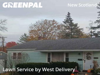 Lawn Services in Albany, 12208, Weekly Mowing by West Delivery, work completed in Dec , 2025