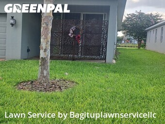Lawn Cutting nearby Apopka, FL, 