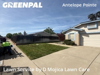 Lawn Care nearby Antelope, CA, 