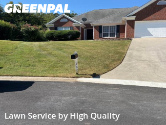 Yard Grooming in Peachtree City, 30269, Yard Grooming by High Quality , work completed in Dec , 2025