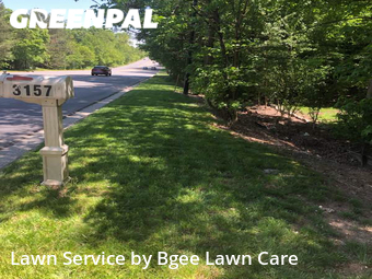 Grass Cut nearby Rock Hill, NC, 