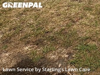 Lawn Care nearby Orange Park, FL, 