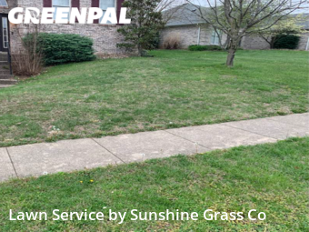 Lawn Care nearby New Albany, IN, 