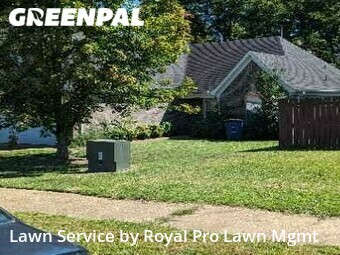 Lawn Cut nearby Olive Branch, MS, 