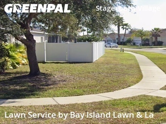 Yard Cutting nearby Land O' Lakes, FL, 