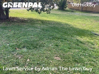 Lawn Service nearby Nashville, TN, 