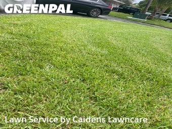 Grass Cut nearby Plantation, FL, 