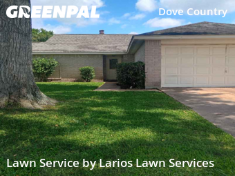 Lawn Carein Stafford,77477,Lawn Service by Larios Lawn Services, work completed in Nov , 2025