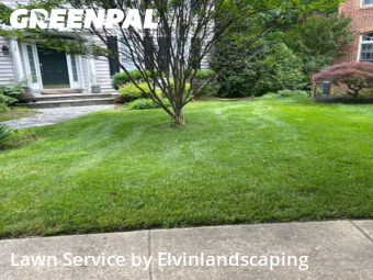 Lawn Maintenance in Olney, 20832, Lawn Management by Elvinlandscaping, work completed in Oct , 2025