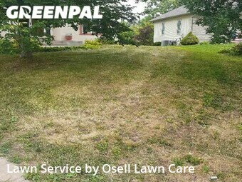 Lawn Mow nearby Osseo, MN, 