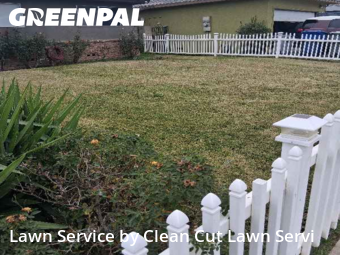 Work completed by grass-care-professionals-in-Fresno-CA