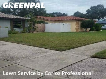 Yard Cutting nearby Seminole, FL, 