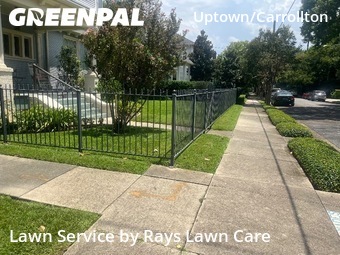 Grass Cut nearby New Orleans, LA, 