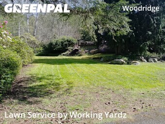 Yard Cutting nearby Bellevue, WA, 