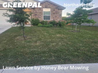 Lawn Cut nearby Converse, TX, 