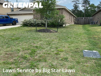 Yard Mowing nearby Conroe, TX, 
