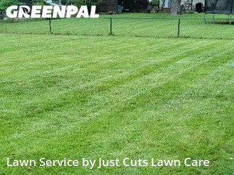 Grass Cutting nearby St. Louis, IL, 