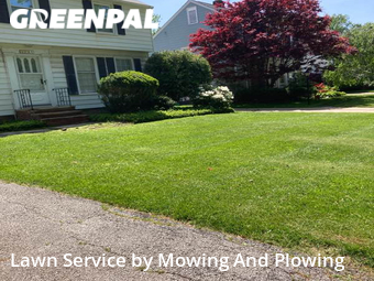 Yard Cutting nearby Lyndhurst, OH, 